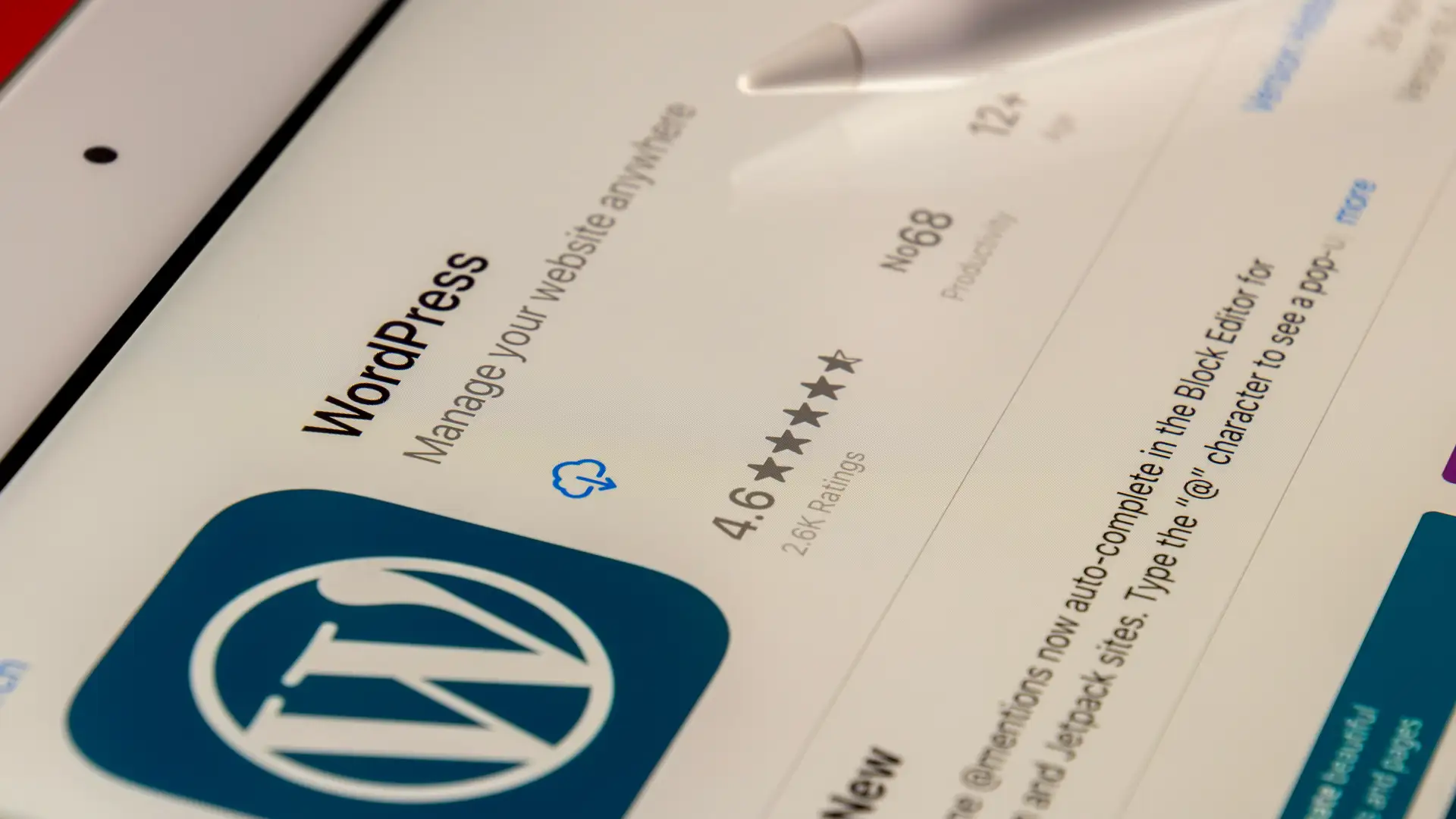 WordPress Webdesign 2